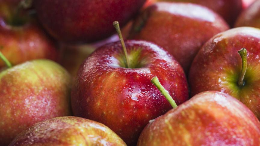 La signature de l’accord marque l’aboutissement de négociations engagées dès 2019 à la demande du secteur fruitier belge.