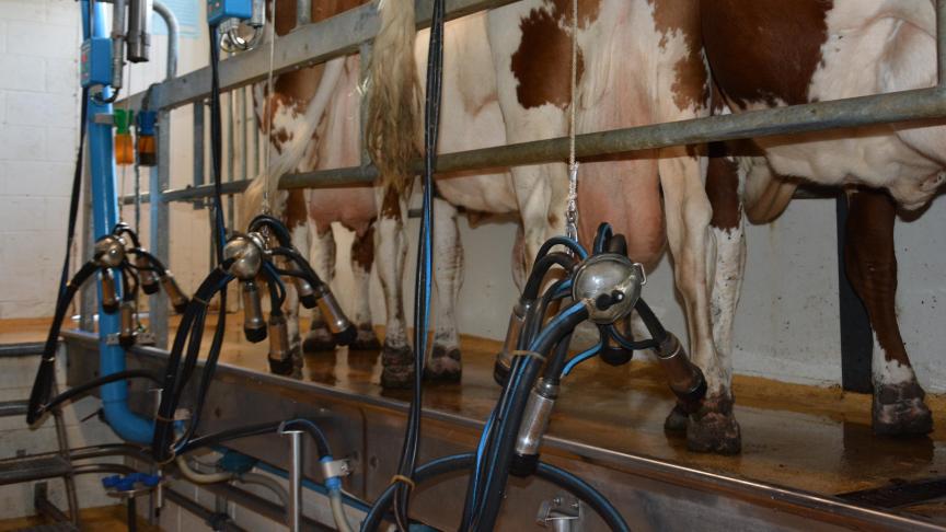 A 571.493 l, la production moyenne  par exploitation ne cesse de croître, année après année.