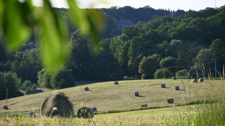 Lorsqu’une parcelle est ajoutée à une exploitation déjà louée, la détermination de sa date de prise de cours peut avoir des conséquences importantes sur les renouvellements et les congés du bail à ferme.