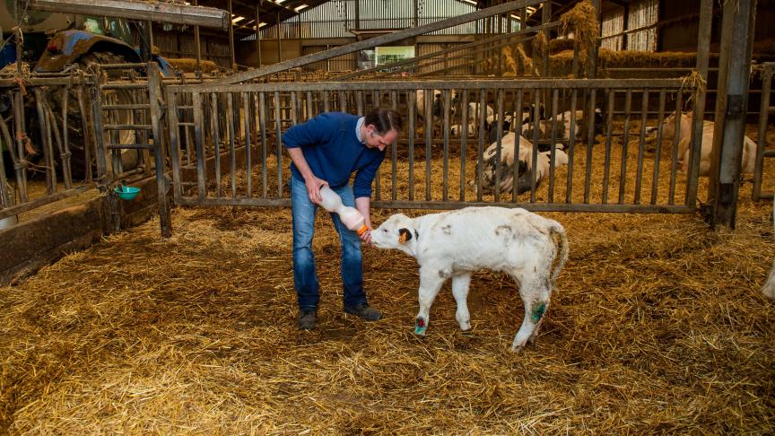 Certains parlementaires plaident pour un renforcement du filet de sécurité européen à travers une révision des prix d’intervention, afin qu’ils reflètent davantage les coûts réels supportés par les producteurs.